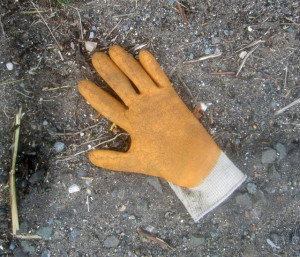 Gant (Glove)