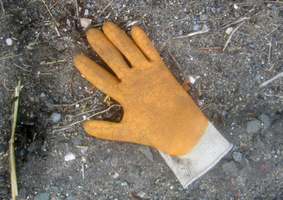 Gant (Glove)